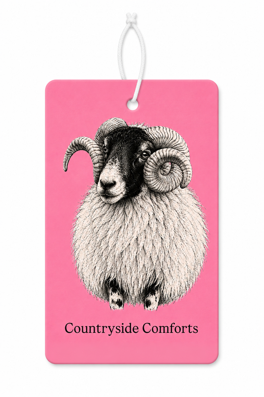 Country Ram - Pink