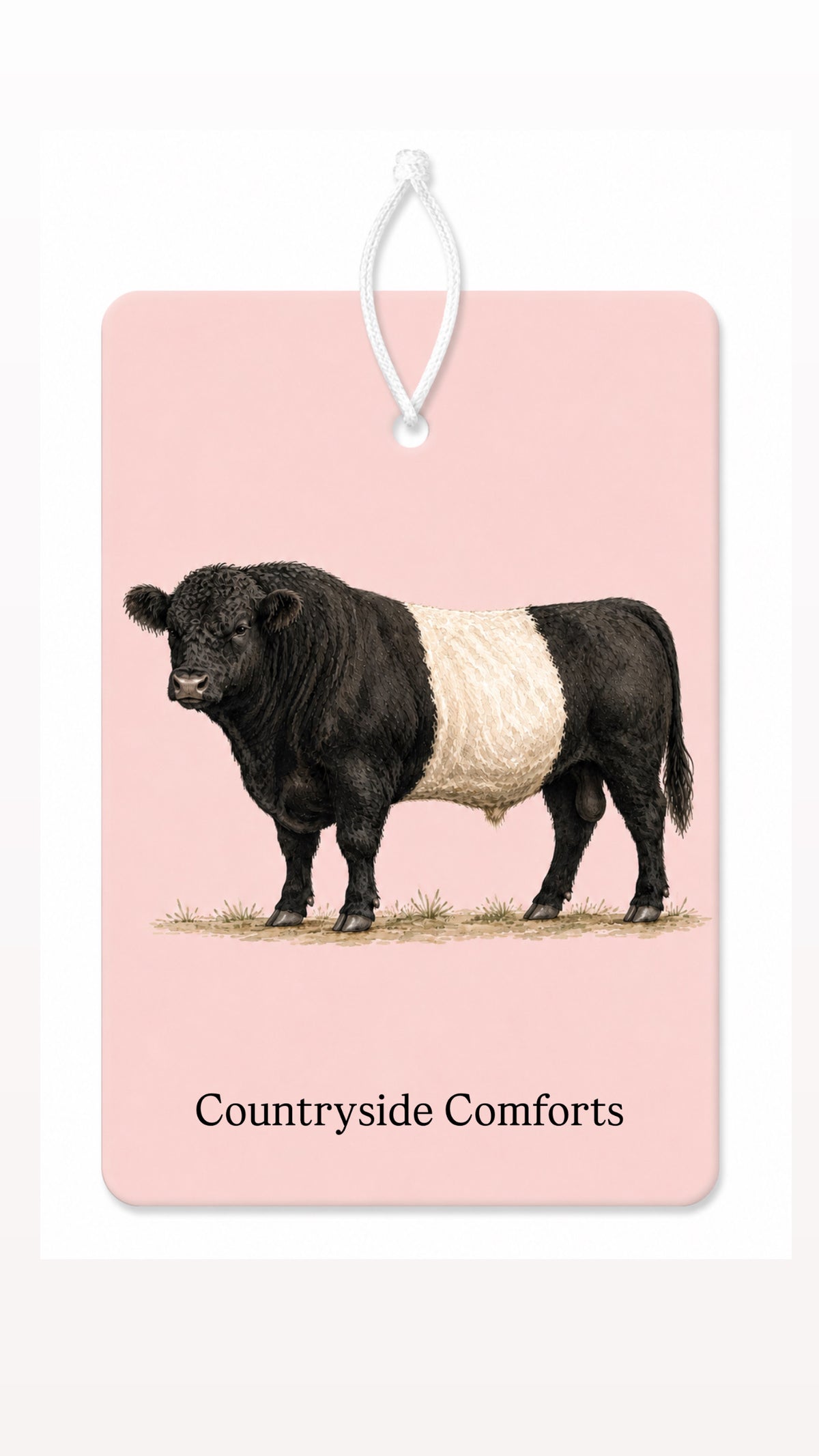 Blush Beltie bull