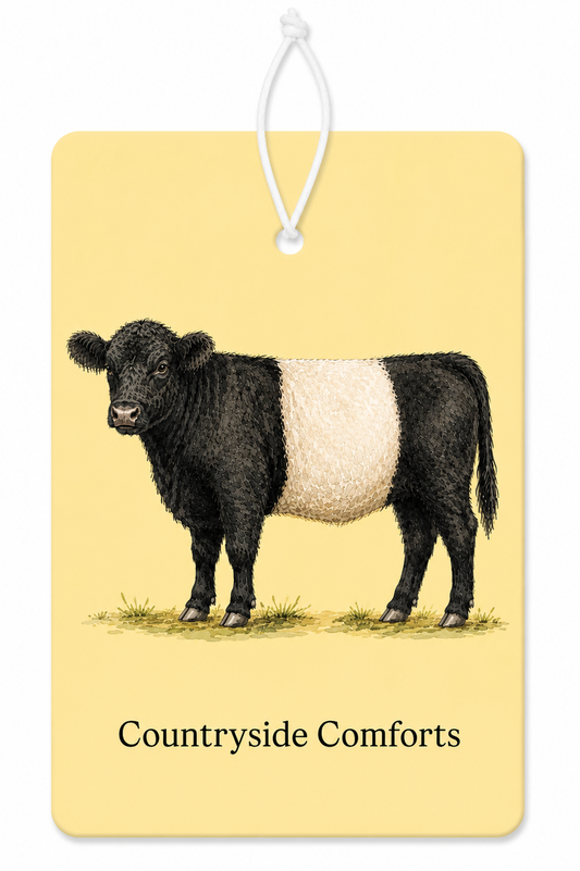 Golden Beltie