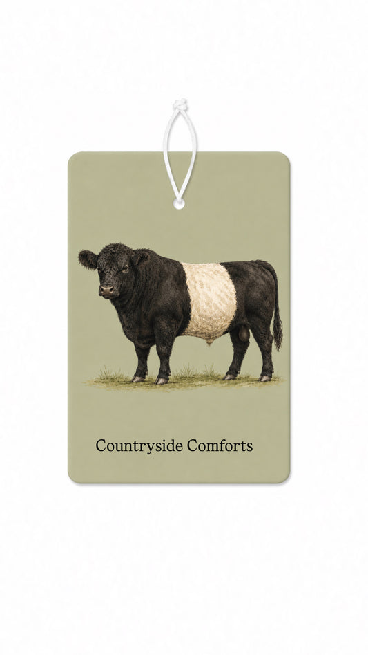 Sage Belted bull