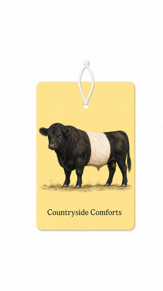 Golden Belted bull