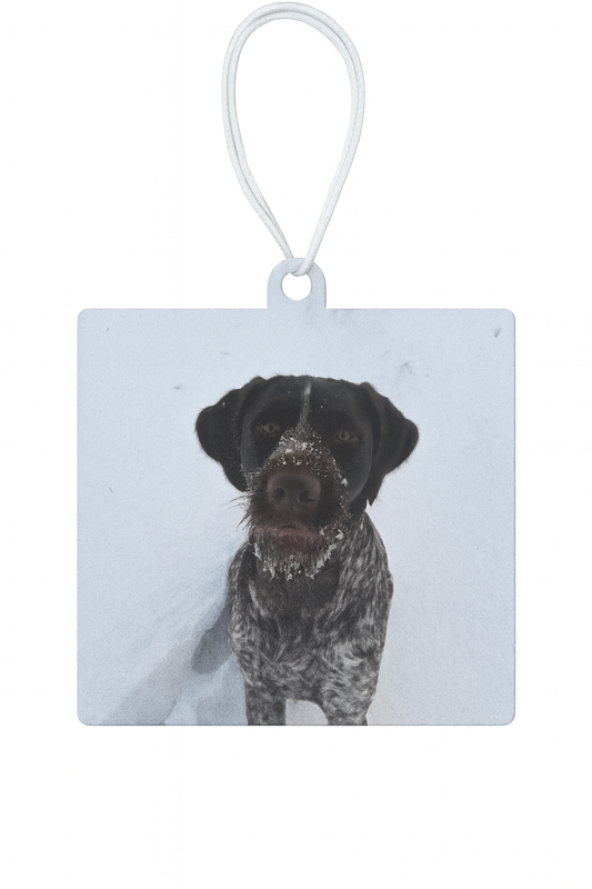 Custom Air Freshener (Upload Your Photo)